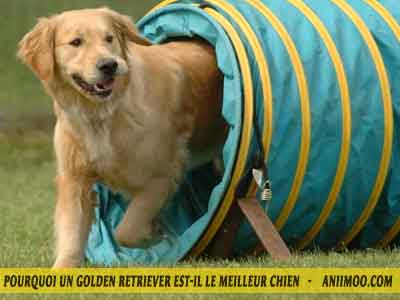 Le-chuen-Golden-exercice-11