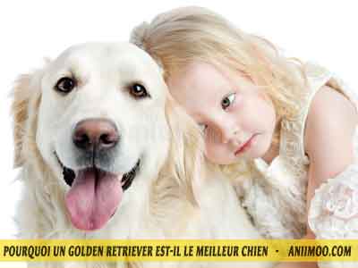 Le-chuen-Golden-retriever-et-enfants-08