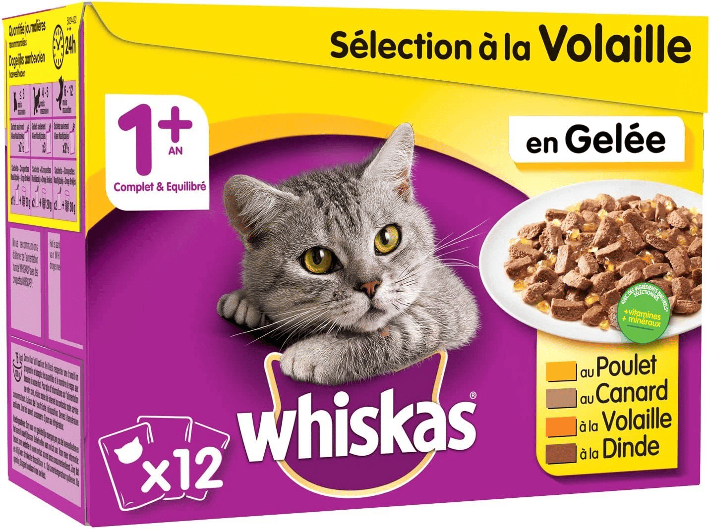 Meilleure alimentation pour chat de compagnie