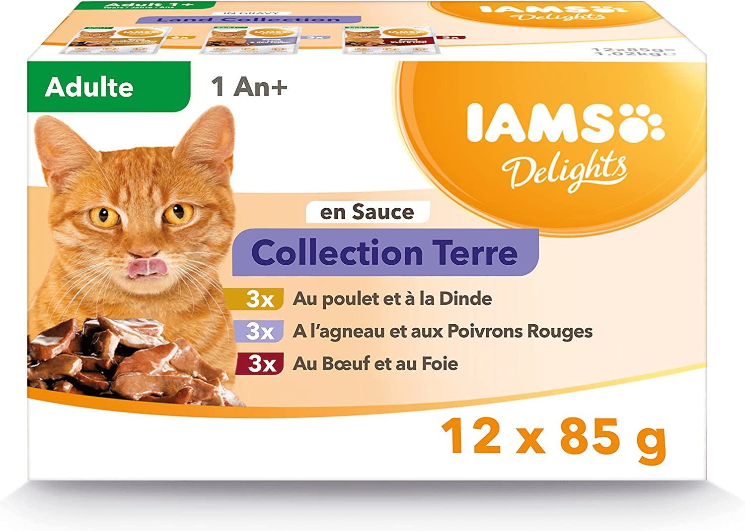 Meilleure alimentation pour chat de compagnie