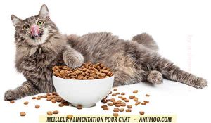 comment-coisir-lr-Meilleur-alimentation-pour-chat-03