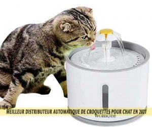 Meilleur-distributeur-automatique-de-croquettes-pour-chat-en-2021-10