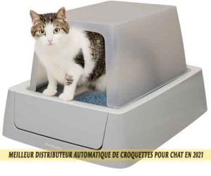 Meilleur-distributeur-automatique-de-croquettes-pour-chat-en-2021-11