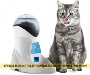 Meilleur-distributeur-automatique-de-croquettes-pour-chat-en-2021-9