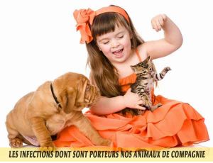 les Chiens et chats et Les-infections-dont-sont-porteurs-nos-animaux-de-compagnie-02