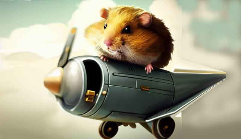 Ce pour quoi mon Hamster dans un avion