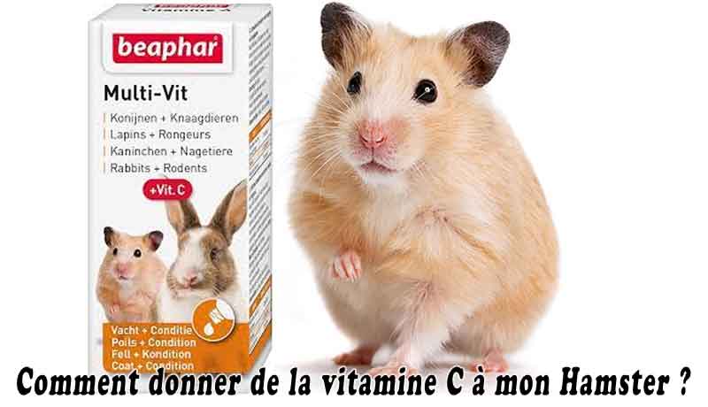 Comment donner de la vitamine C à mon Hamster