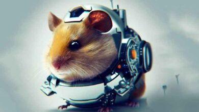 Comment rendre mon robot Hamster heureux