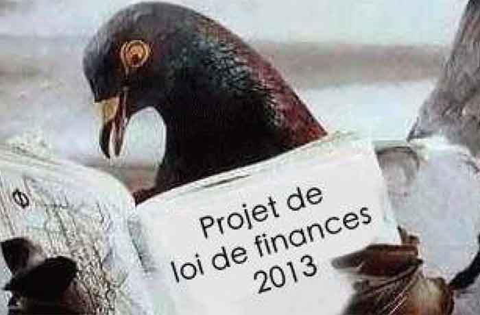 Tuer un pigeon sans cruauté - Tuer un pigeon est-il interdit par la loi