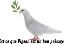 Est-ce que Pigeon est un bon présage