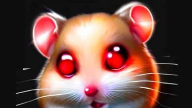 Pourquoi mon Hamster a les yeux rouges et brillants?