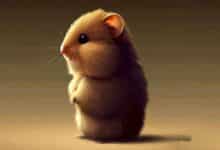 Pourquoi mon hamster se fige-t-il de façon aléatoire?