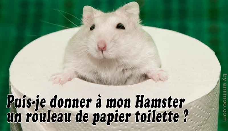 Puis-je donner à mon Hamster un rouleau de papier toilette ? 