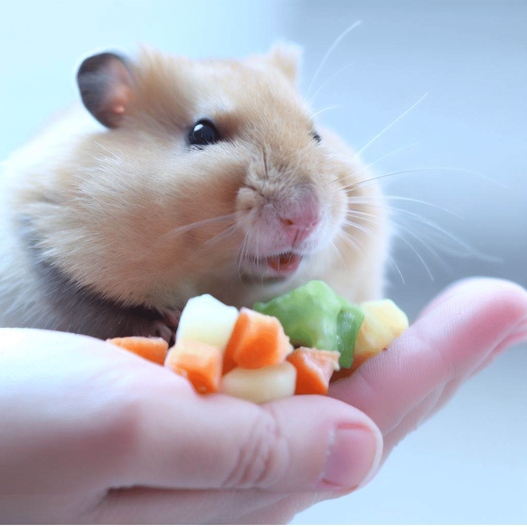 Puis-je donner à mon hamster des légumes surgelés ?