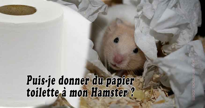 Puis-je donner du papier toilette à mon Hamster ?