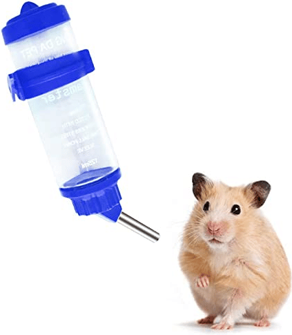 Que faire si votre Hamster ne veut pas boire d’eau?