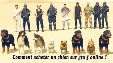 Comment acheter un chien sur gta 5 online