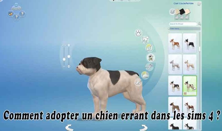 Comment adopter un chien errant dans les sims 4