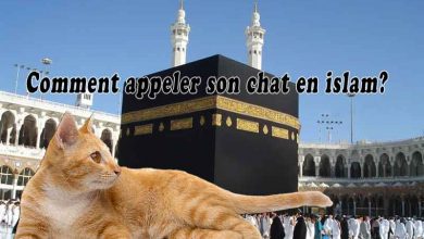 Comment appeler son chat en islam