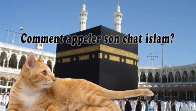 Comment appeler son chat islam?