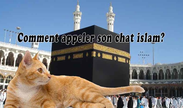 Comment appeler son chat islam?