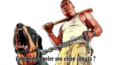 Comment appeler son chien sur gta