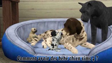 Comment avoir des bébé chien sims 4
