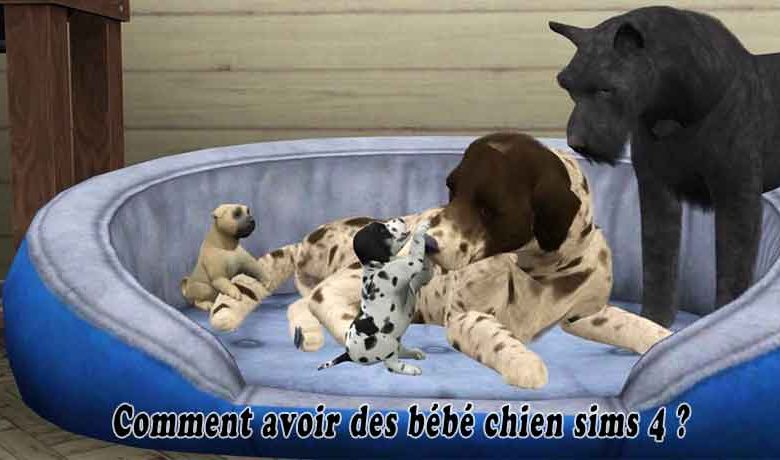 Comment avoir des bébé chien sims 4