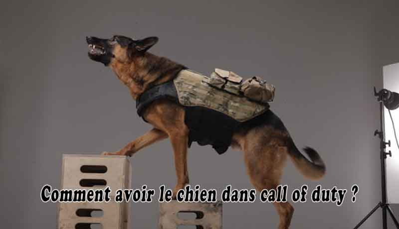 Comment avoir le chien dans call of duty