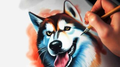 Comment dessiner un chien husky facile?