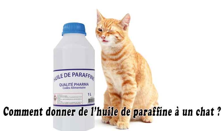 Comment donner de l’huile de paraffine à un chat