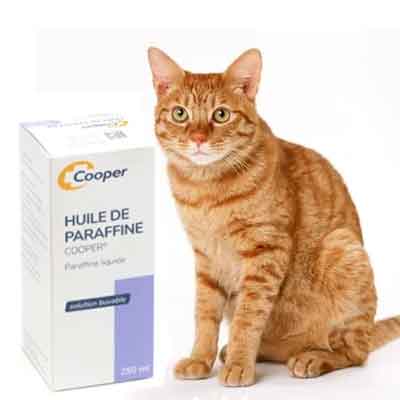 Comment donner de l’huile de paraffine à un chat?