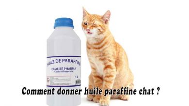 Comment donner huile paraffine chat