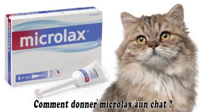 Comment donner microlax à un chat