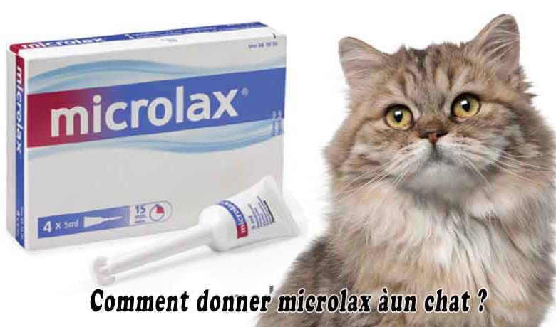 Comment donner microlax à un chat