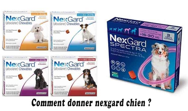 Comment donner nexgard chien