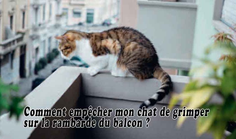 Comment empêcher mon chat de grimper sur la rambarde du balcon