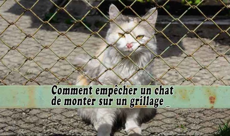 empêcher un chat de monter sur un grillage