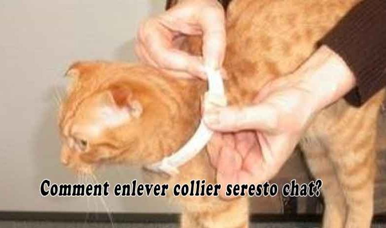 Comment enlever collier seresto chat