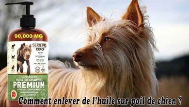 Comment enlever de l huile sur poil de chien