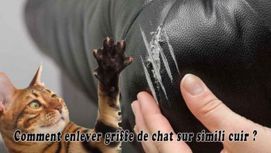 Comment enlever griffe de chat sur simili cuir