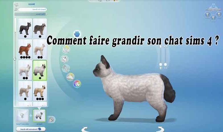 Comment faire grandir son chat sims 4