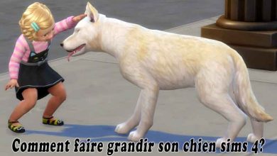 Comment faire grandir son chien sims 4