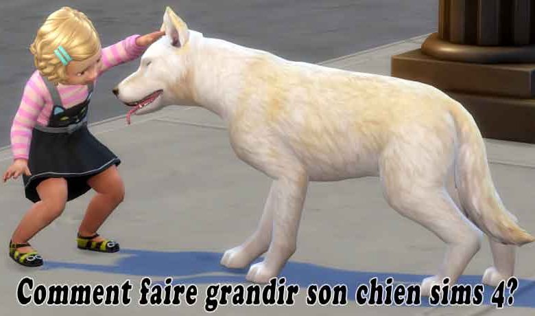 Comment faire grandir son chien sims 4