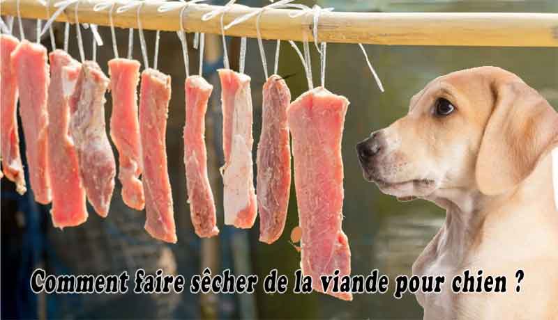 Comment faire sécher de la viande pour chien