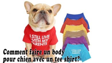 Comment faire un body pour chien avec un tee shirt