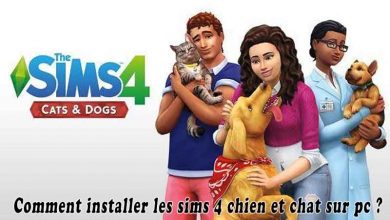 Comment installer les sims 4 chien et chat sur pc
