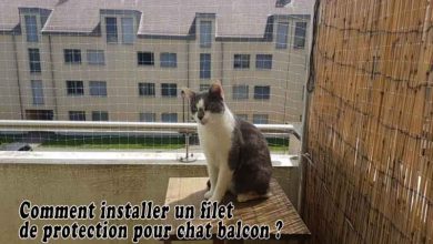 Comment installer un filet de protection pour chat balcon