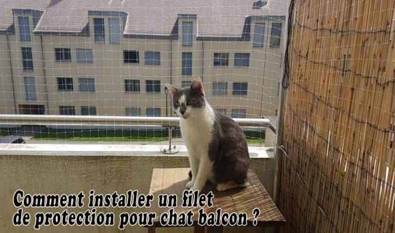 Comment installer un filet de protection pour chat balcon