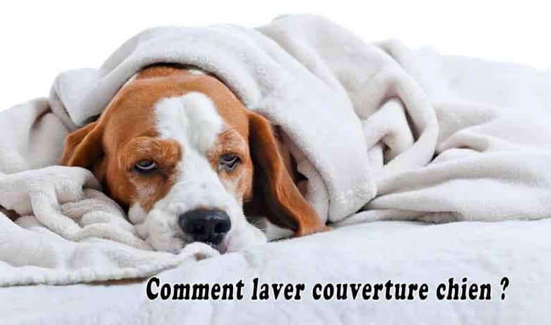 Comment laver couverture chien